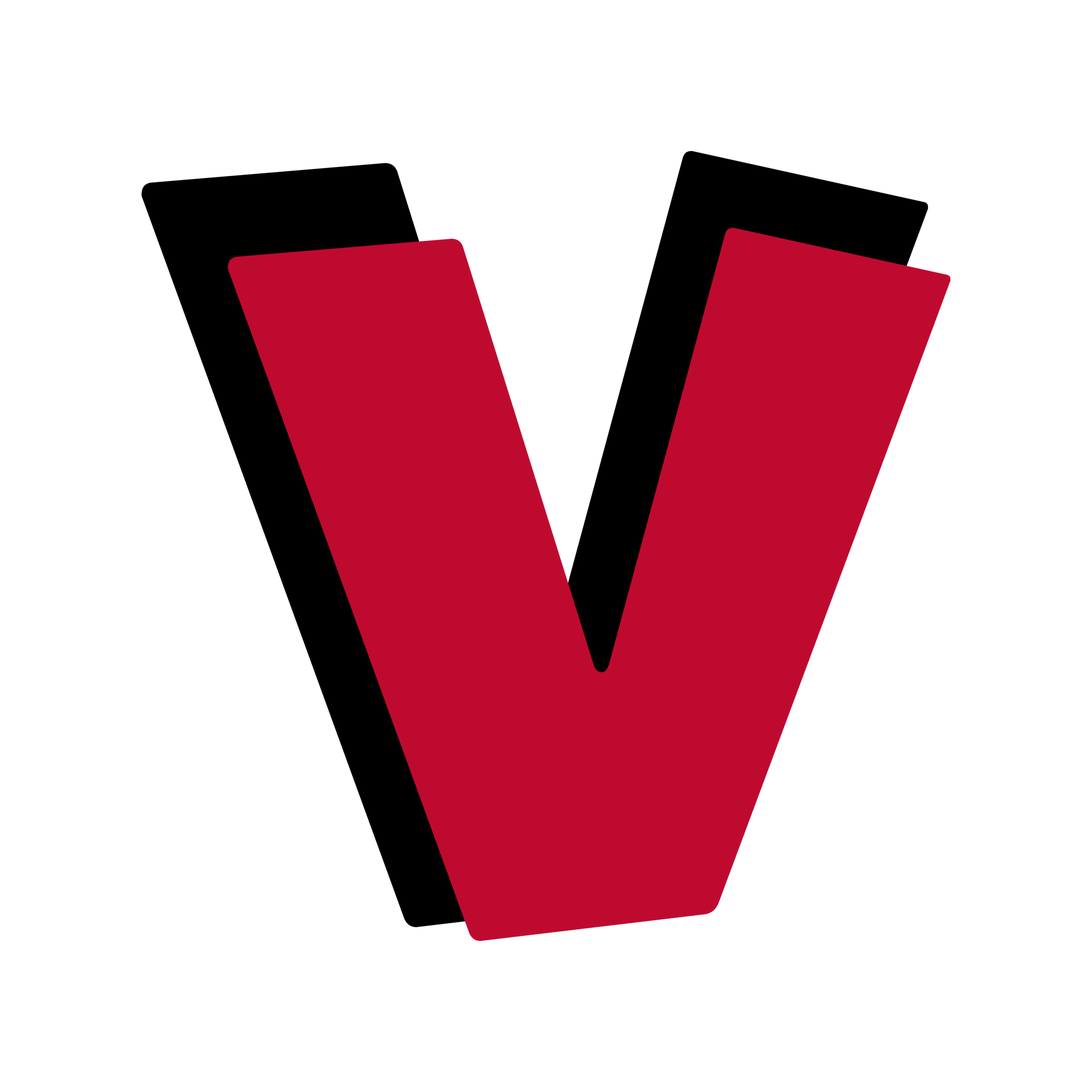 VV SOCIAL TRANSPARENT (1)